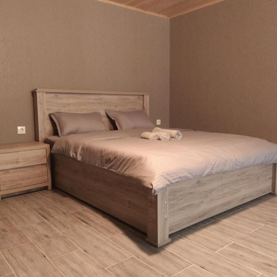 Nikolozi Hotel Kazbegi Kültér fotó